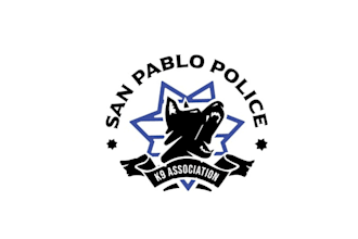 design elegant law enforcement logo with police