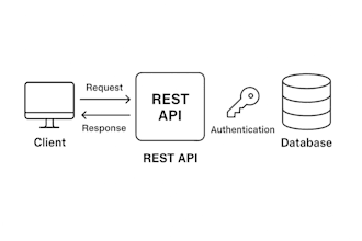build robust backend apis in kotlin, python, java, or rust