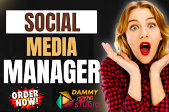 be facebook instagram linkedin x personal virtual assistant social media manager