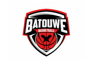 create awesome and gorgeous basketball  logo design