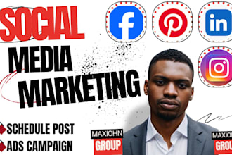 manage linkedin instagram tiktok facebook ads virtual assistant social media ads