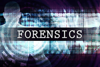 do digital forensics, log analysis, data recovery and cybercrime investigation