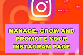 do instagram marketing, manage, grow and promote your page