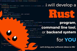 develop custom rust programs, cli tools, backend systems