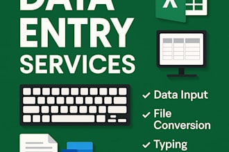 do professional data entry and file conversion