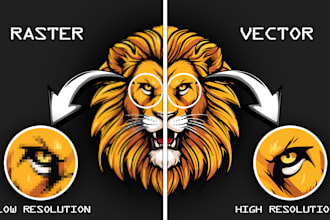 convert your logo or image to a high resolution vector file