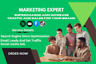 increase massive supercharge traffic and boost sales shopify ecommerce marketing
