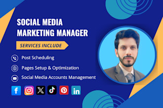 be your social media marketing manager, content creator