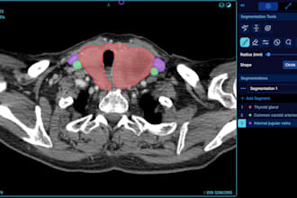 annotate xray, usg, ct, mri and angiography medical images accurately