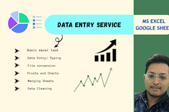 do data entry, data cleaning, file conversion and basic excel