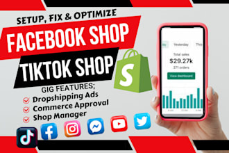 fix, optimize, set up tiktok shop, facebook shop, dropshipping ads campaign