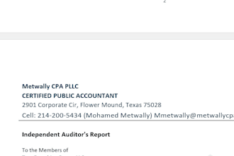 audit your financial statements in accordance with US gaas and gaap
