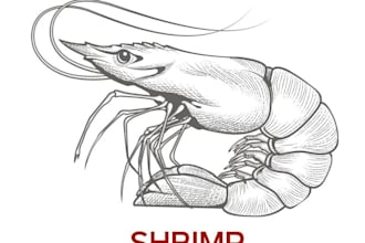 create high quality lobster logo for your restaurant