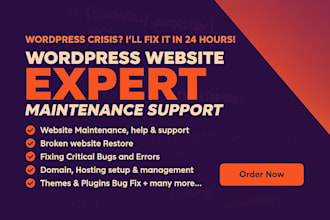 your wordpress help for website maintenance, speed and bug fix