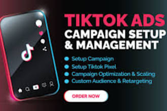 create, run and manage tiktok ads campaign, tik tok ads, tiktok advertising