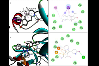 do molecular docking with interaction, distance data, images