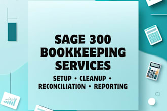 handle sage 300 bookkeeping, setup, cleanup, and reconciliation