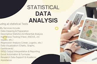 do professional data analysis using excel, spss, r, or minitab