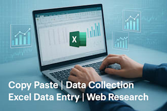 do copy paste, data collection, excel data entry, and web research