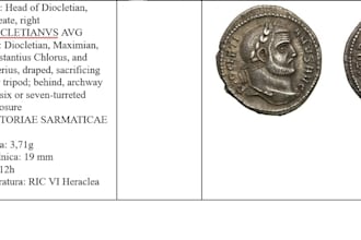 professional coin identification by expert numismatist