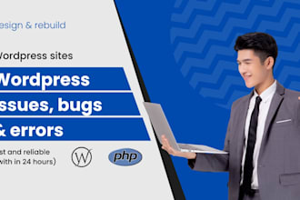 design and develop a professional wordpress website