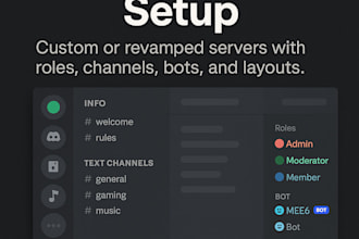 setup a discord server