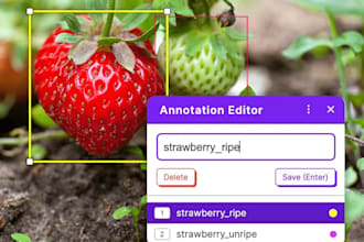 provide roboflow,cvat fast and precise annotation for data
