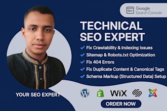 fix all technical seo issues including 404 errors and canonical tags