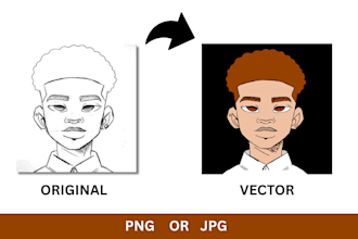 convert your image to high quality vector in png and jpg