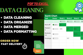 ms excel data cleaning and formatting, merging, splitting, sorting