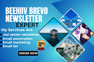 build automated email flows and cold email campaigns using mailchimp or beehiiv
