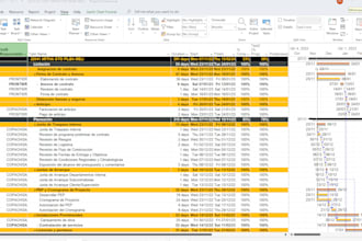create a construction schedule with gantt chart in ms project