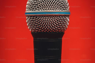voice act a wide range of characters