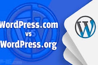 provide monthly wordpress maintenance and support services, website support