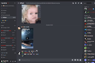 create a professional and custom discord server