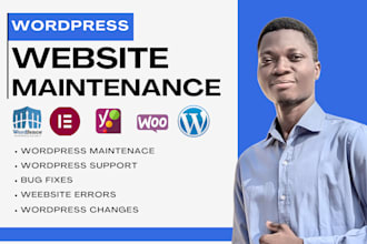 be your wordpress website maintenance expert, fix update support wordpress site