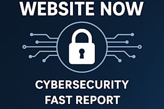 audit your website or system for cybersecurity vulnerabilities