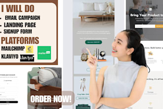 do email campaign landing page signup form on klaviyo mailchimp and mailerlite