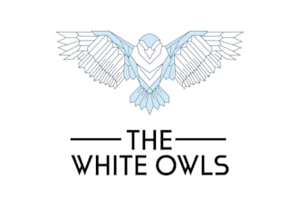 create amazing line art owl logo design with source file