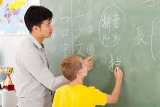 translate english to chinese or chinese to english professionally