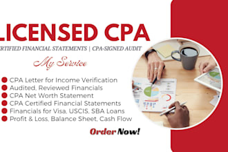 do cpa letter, self employment verification letter for loan, US cpa audit review