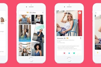 deliver a fully working tinder auto swipe dating chatbot
