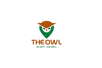 design a professional and creative owl logo for your brand