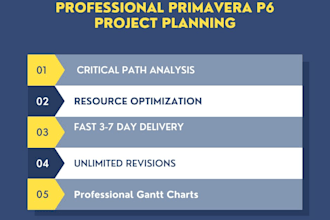 create professional project plans using primavera p6 for any project