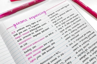 gracefully handwrite any documents, study notes and letters for you