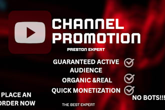 do organic USA youtube video promotion yt SEO channel monetization USA views