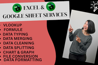 clean, format, merge, split and vlookup excel data and also do data typing