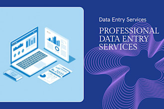 provide data entry service