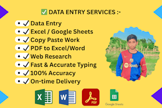 data entry, excel cleanup, and research