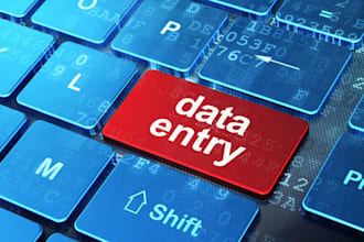 data entry, convert pdf to word, ms word, excel data entry, logo and photoshop